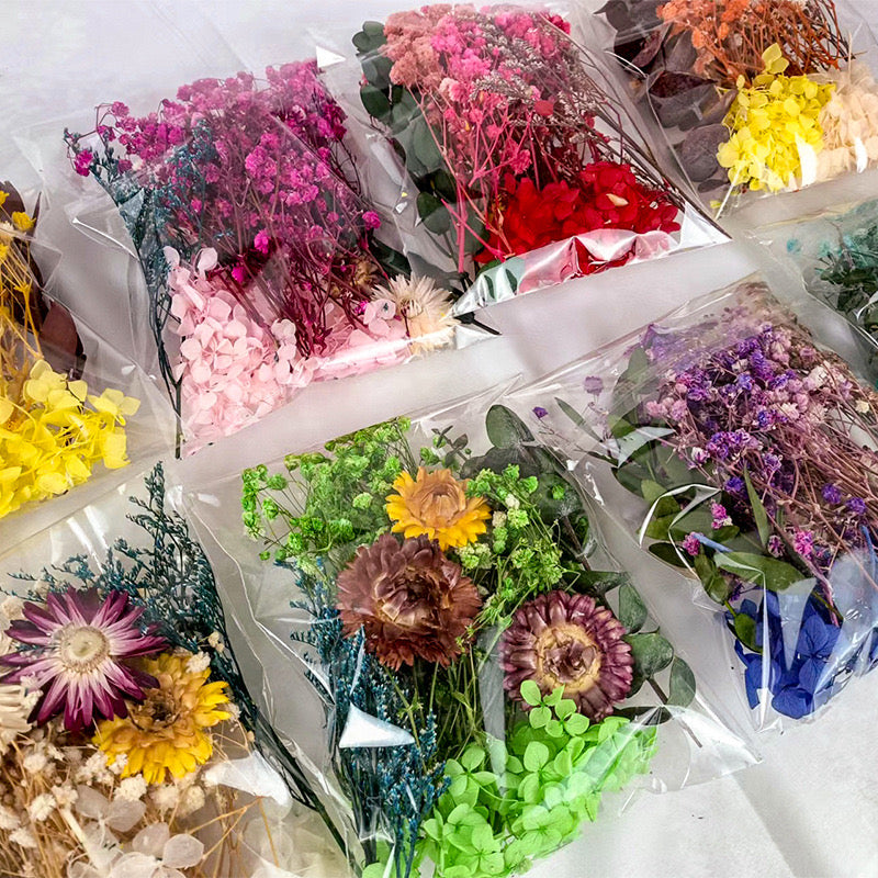 Dried Flowers Pack — 9 Colors