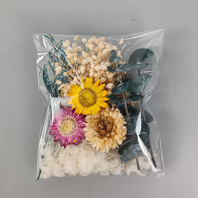 Dried Flowers Pack — 9 Colors