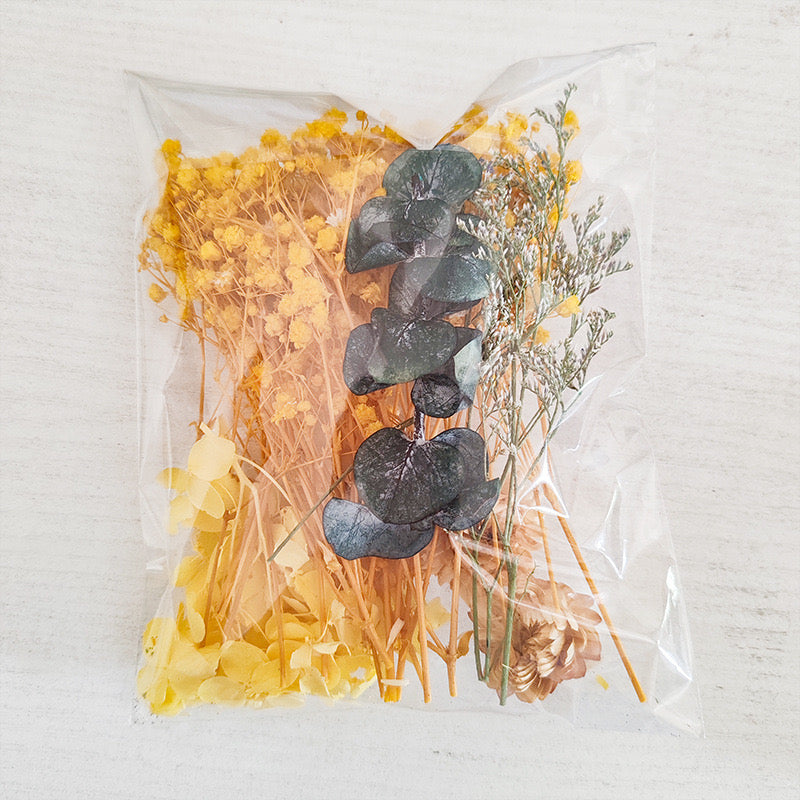 Dried Flowers Pack — 9 Colors