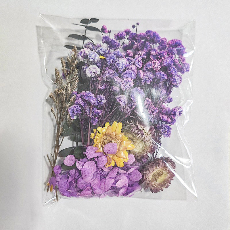 Dried Flowers Pack — 9 Colors