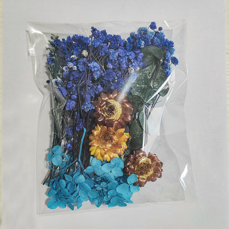 Dried Flowers Pack — 9 Colors