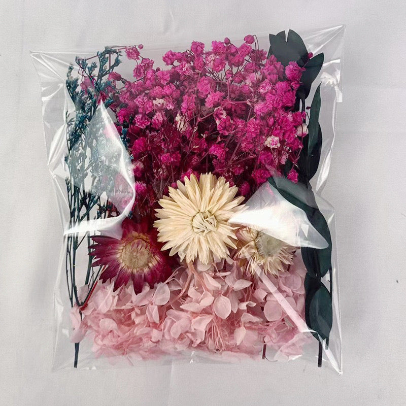 Dried Flowers Pack — 9 Colors