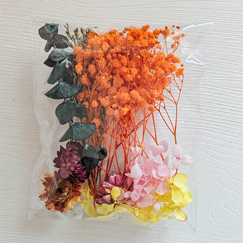 Dried Flowers Pack — 9 Colors