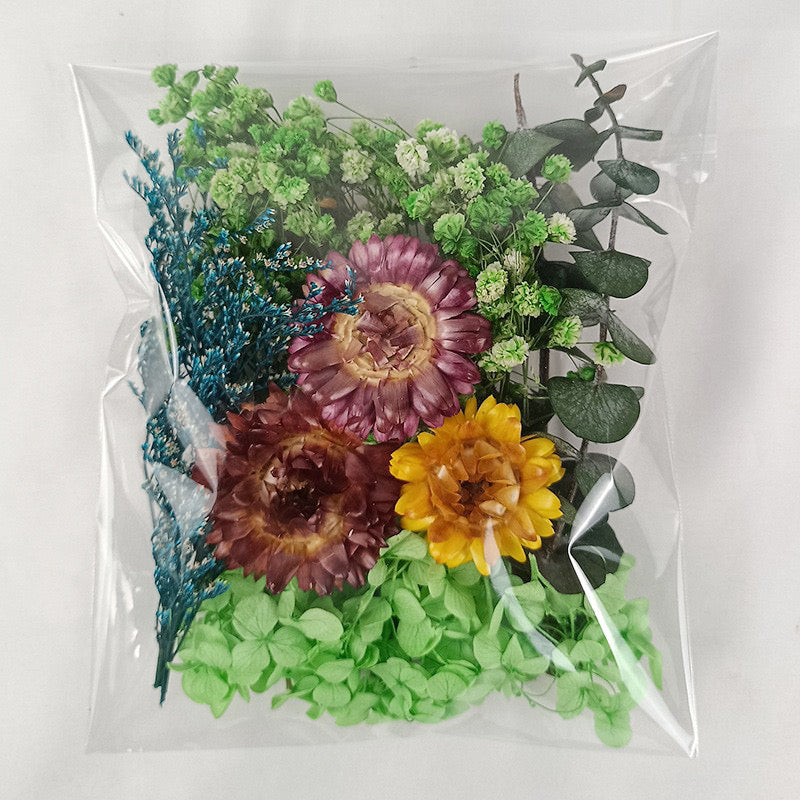 Dried Flowers Pack — 9 Colors