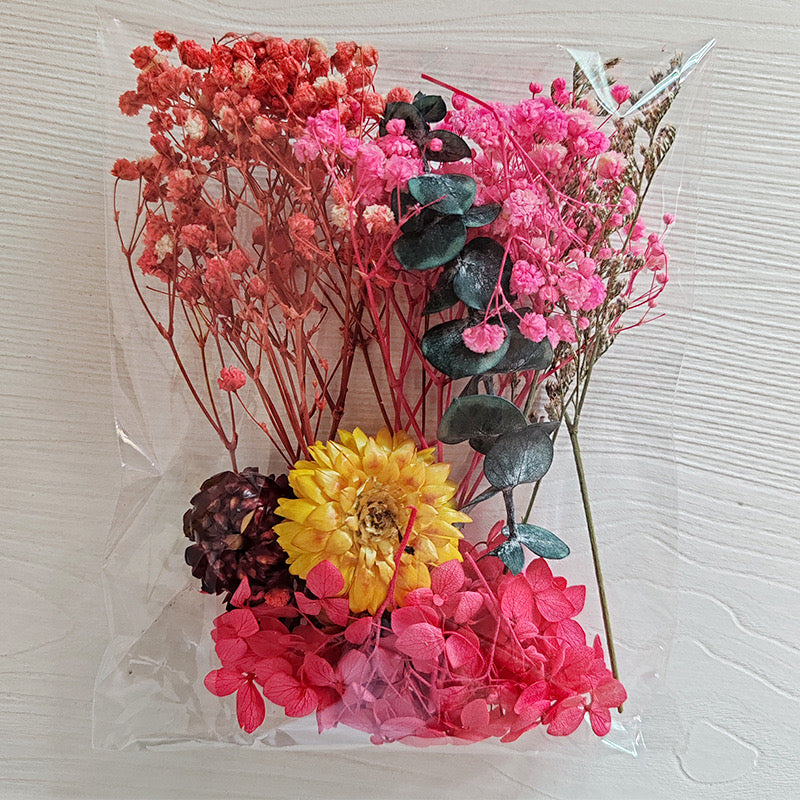 Dried Flowers Pack — 9 Colors
