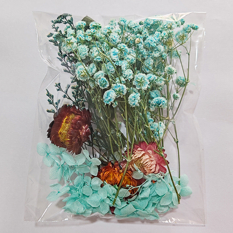 Dried Flowers Pack — 9 Colors