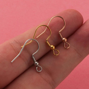 Stainless Steel Earring hooks (20pcs)