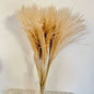 Duster Reed pampas flowers (20 pcs)