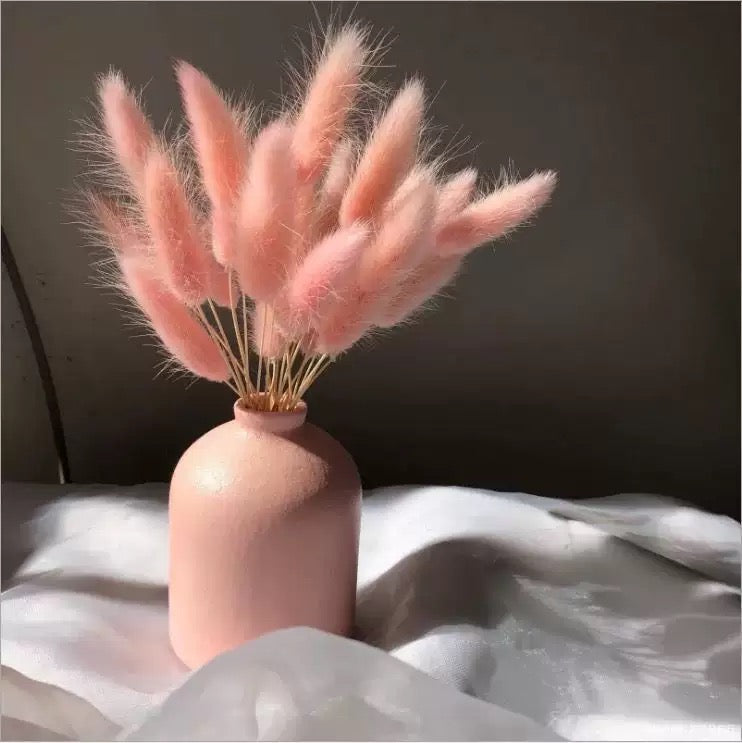 Bunny pampas flowers 55-60pcs