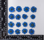 Pressed Daisy Flowers