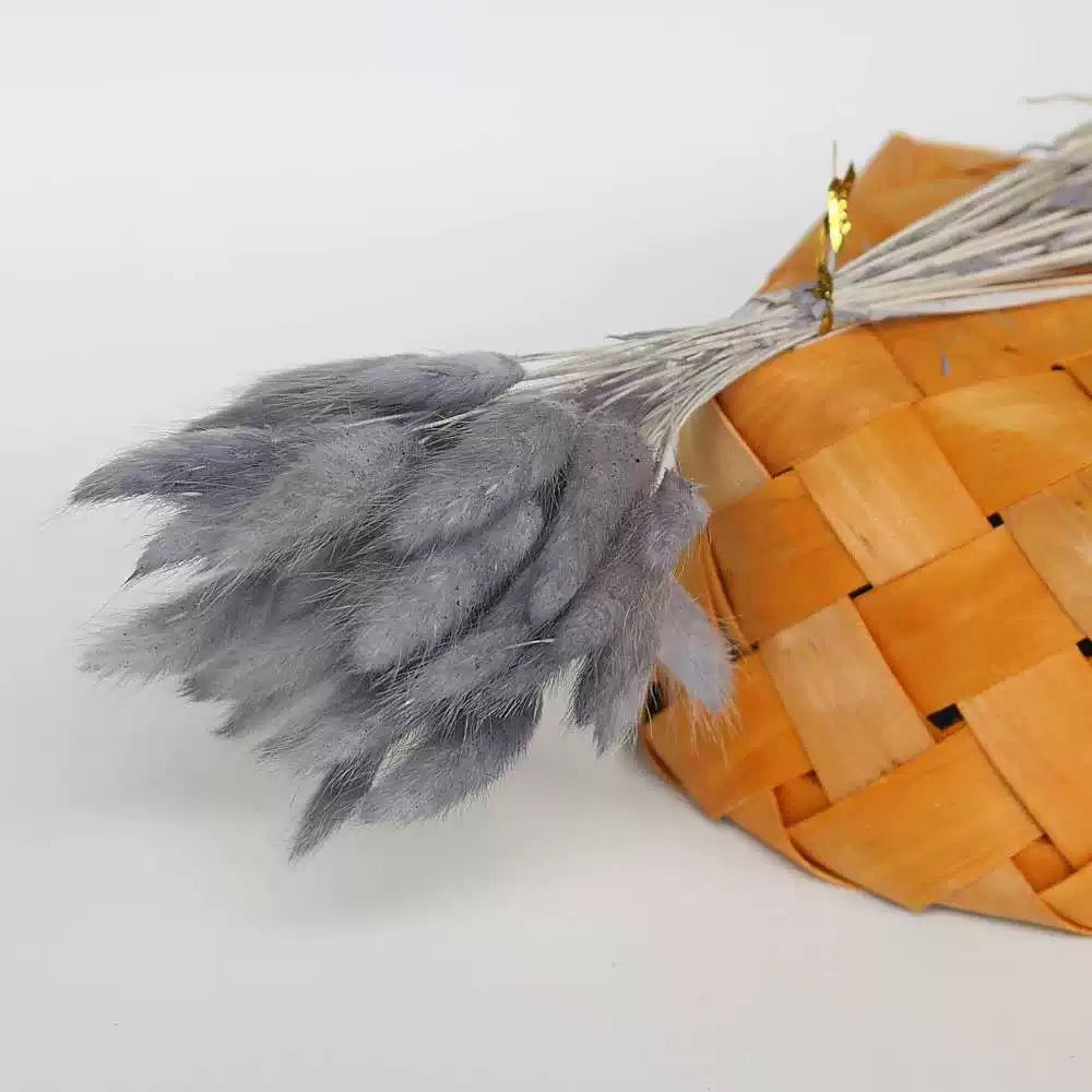 Bunny pampas flowers 55-60pcs