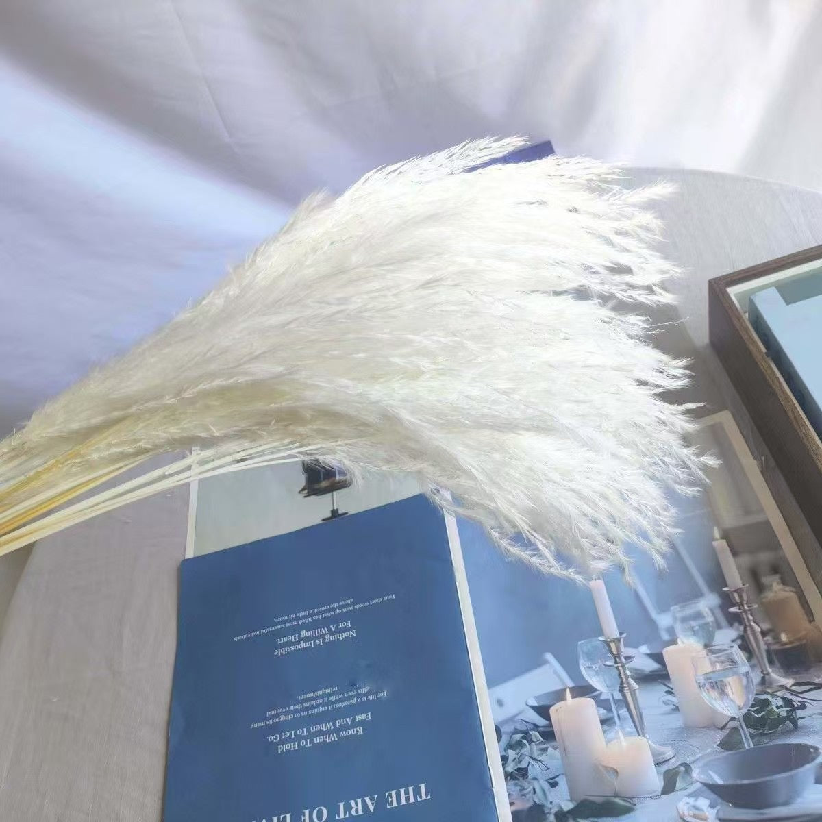 Duster Reed pampas flowers (20 pcs)