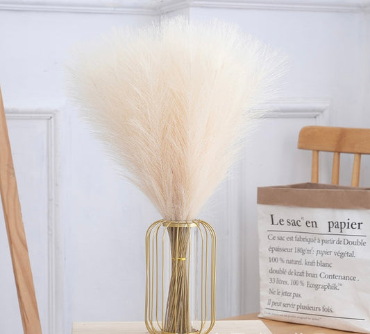 Reed pampas flowers (10 pcs)