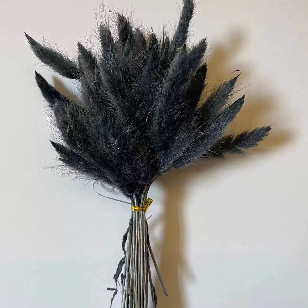 Bunny pampas flowers 55-60pcs