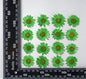 Pressed Daisy Flowers