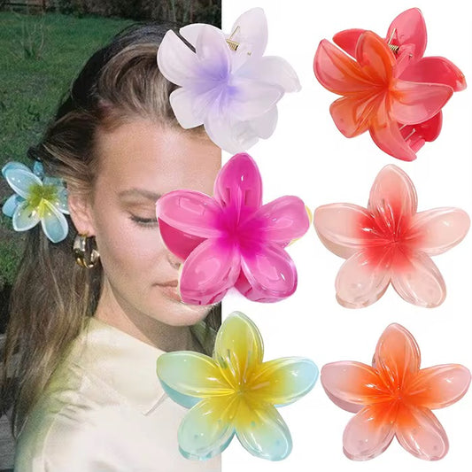 Gradient Two-Tone Hair Clips