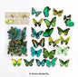 Butterfly decals