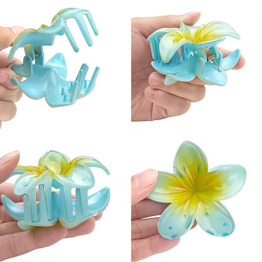 Gradient Two-Tone Hair Clips