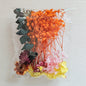 Dried Flowers Pack — 9 Colors