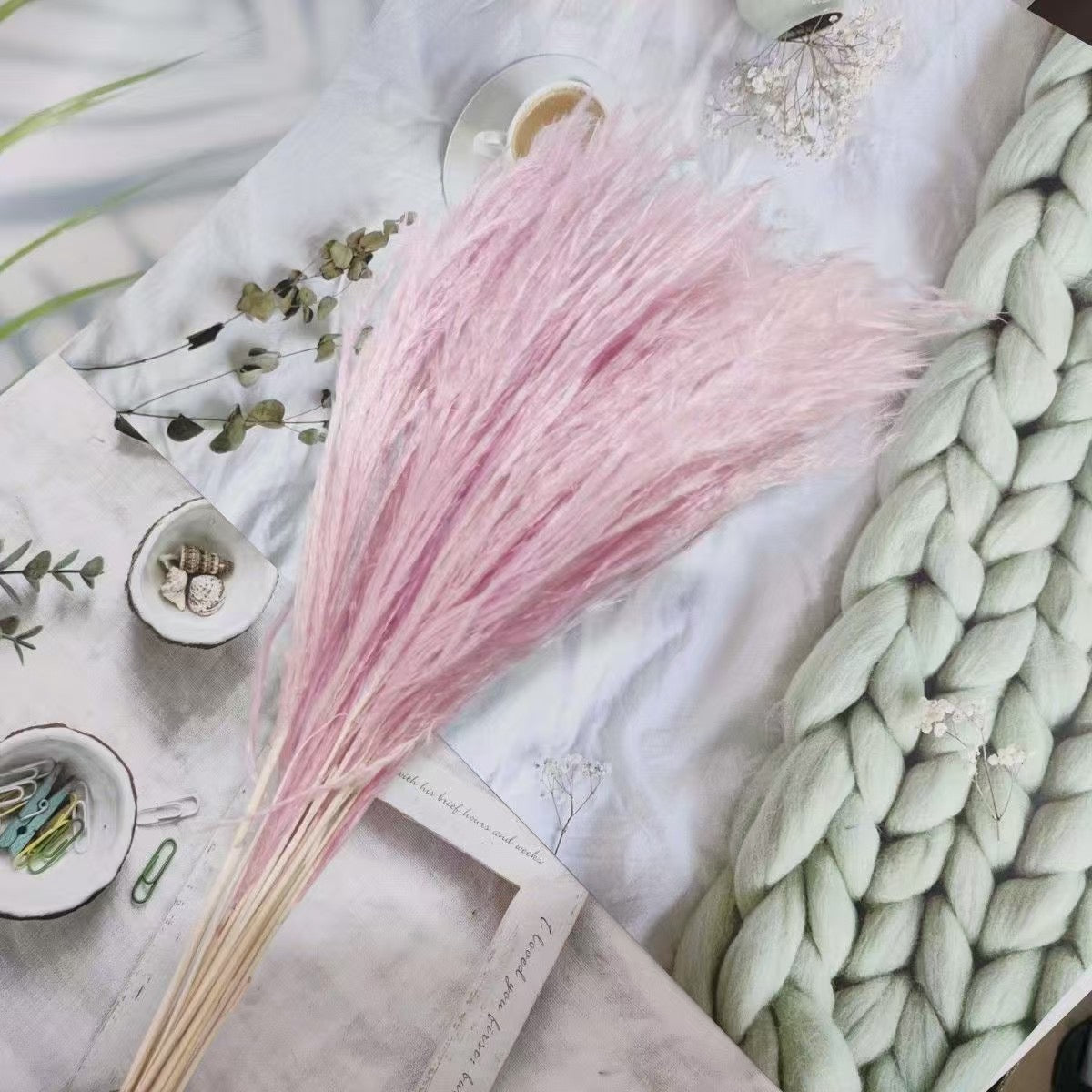 Duster Reed pampas flowers (20 pcs)