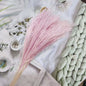 Duster Reed pampas flowers (20 pcs)