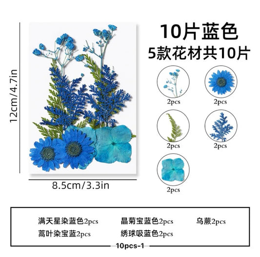 Pressed Dried Flowers — Assorted Pack