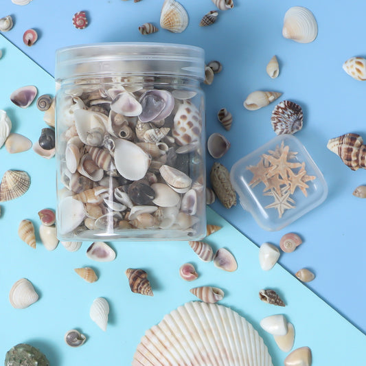 Seashells